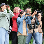 野鳥観察会の様子