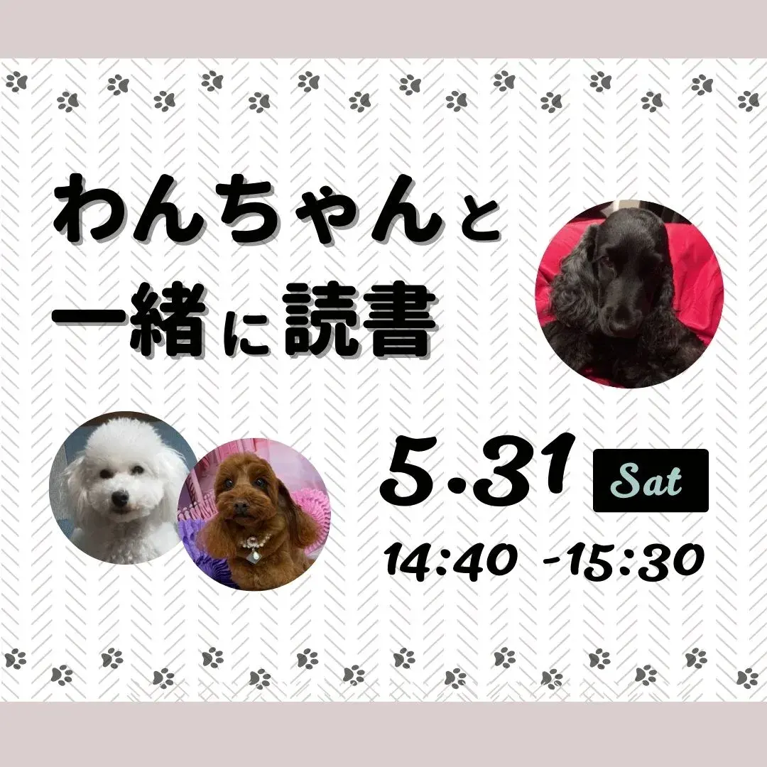 わんちゃんと一緒に読書のバナー