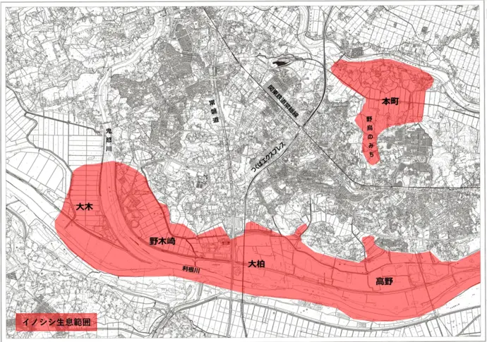 地図:イノシシの生息範囲