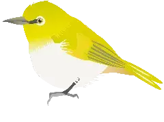 イラスト:野鳥1