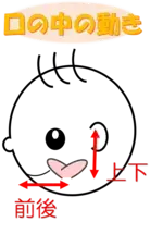 イラスト：口の中の動き　舌を前後・上下に動かせるようになる