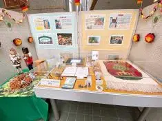 写真:ガラスケース内の展示品