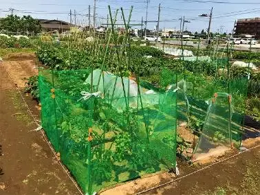 写真:農園1