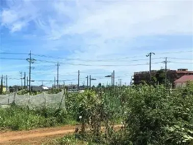 写真:農園2