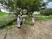 写真:除草作業の様子2