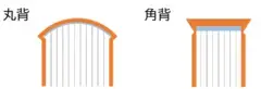 イラスト：丸背と角背