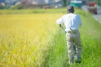 写真：農業をする男性