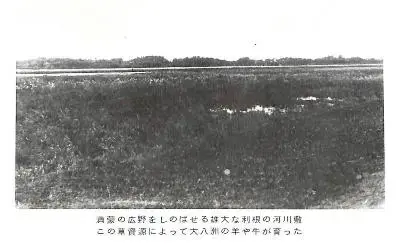 写真:開墾前の利根川の河川敷