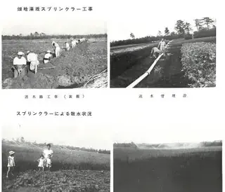 写真:大井沢地区のかんがい