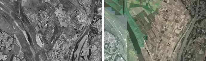 写真:木野崎地区柳耕地の比較