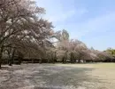 立沢公園