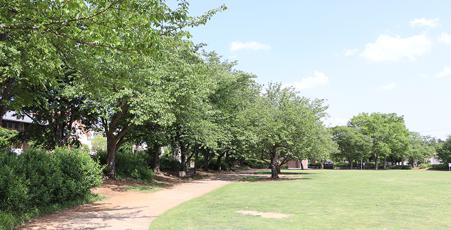 けやき台公園の写真