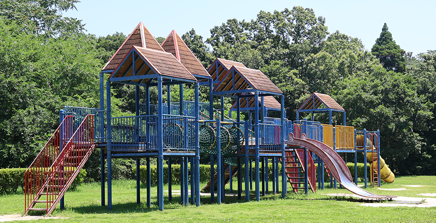 写真：北園森林公園