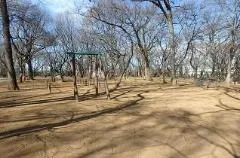 写真：土塔森林公園