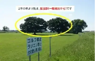 写真:目印の木