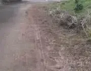 写真:道路への土砂の流出