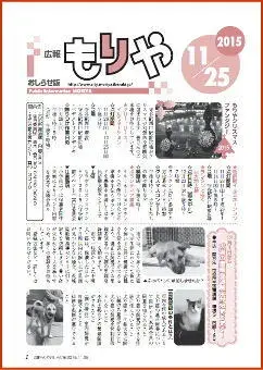 写真:11月25日号の表紙