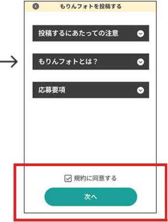 画面：応募要項を確認後、もりんフォトに投稿するを押下