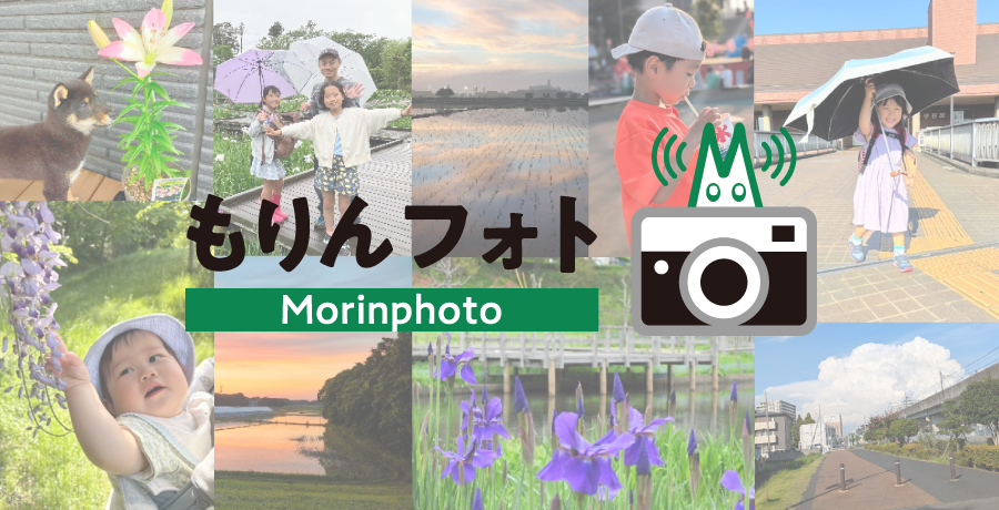 イラスト：もりんフォトロゴ