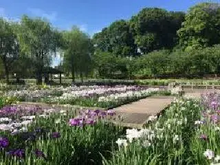 写真:四季の里公園