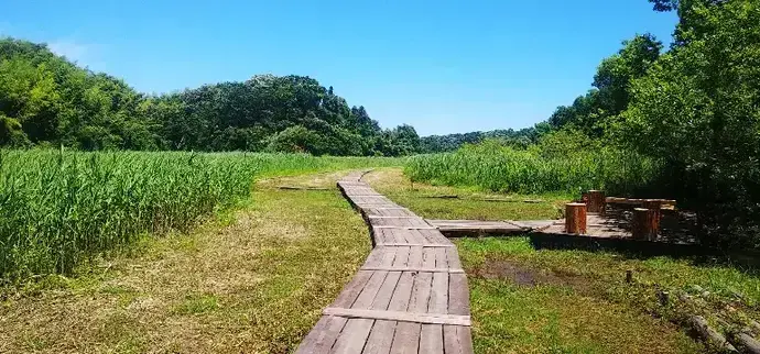 写真:守谷野鳥のみち