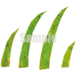 イラスト：草H