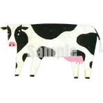 イラスト：牛