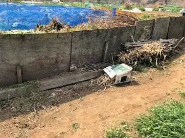 写真:悪い例