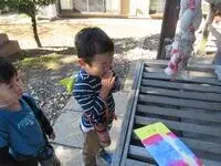 写真：神社で両手を合わせてお参りする子