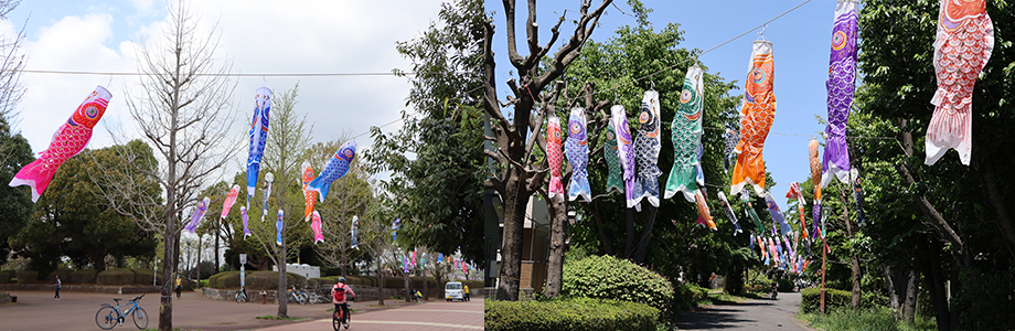 幸福の路を泳ぐこいのぼり