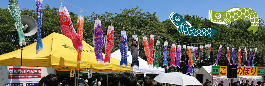 こいのぼりの掲揚