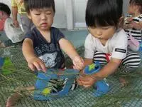 写真:笹に短冊を結ぶ子たち