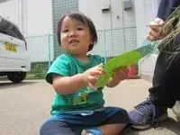 写真:短冊を握る子供