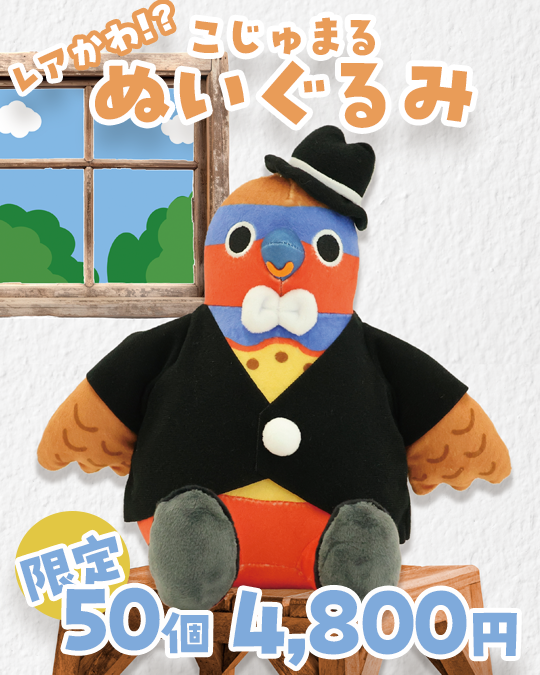 レアかわ！？限定50個こじゅまるぬいぐるみ4800円