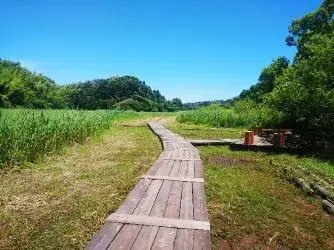 写真:木道1