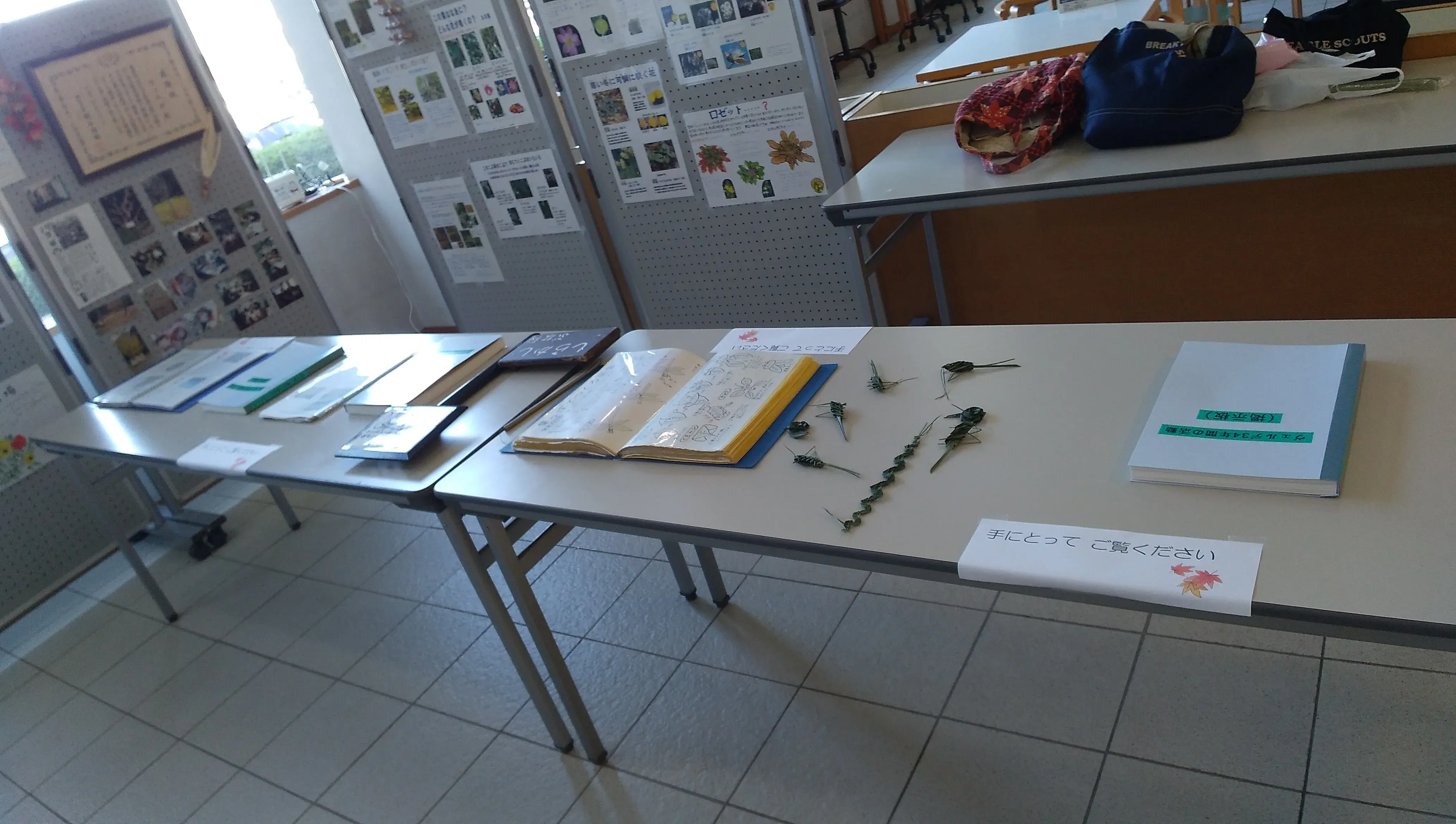 展示の様子3