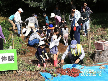 親子芋掘り&落花生掘り体験会(1)