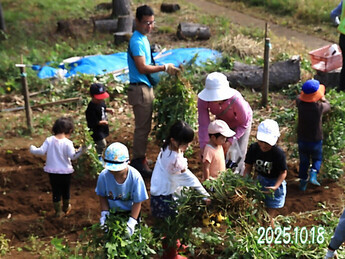 親子芋掘り&落花生掘り体験会(3)