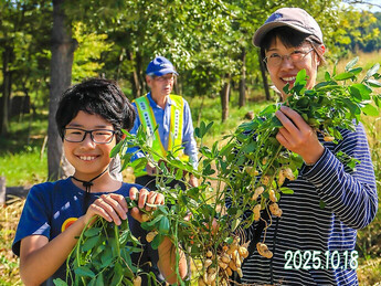 親子芋掘り&落花生掘り体験会(4)