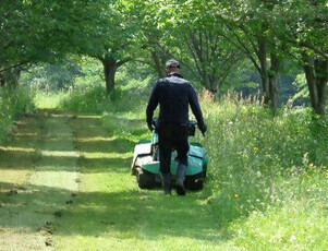 除草作業の様子（1）