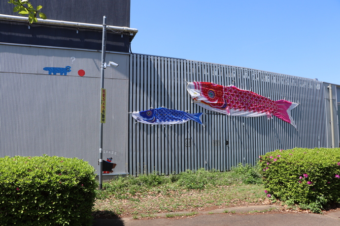 ミ・ナーデの建物の外壁にこいのぼりがはられている写真