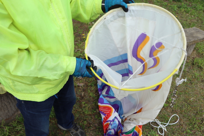 こいのぼりの口元を高野まちづくりの会の男性が持っている写真