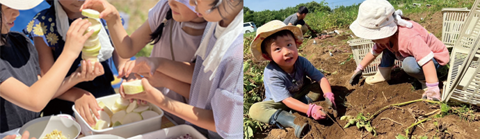 畑で野菜や土と触れ合う子ども達