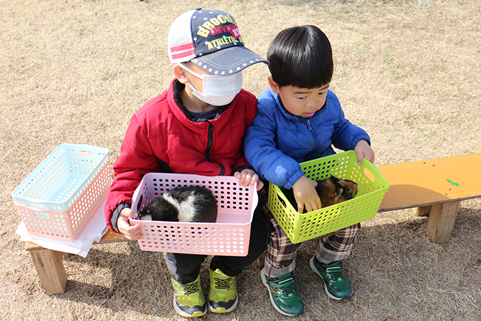 うさぎと触れ合う子どもたち