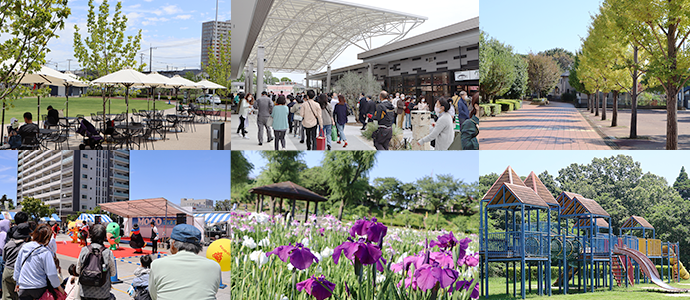 写真 ブランチ守谷の施設内、幸福の路と木々、MOCOフェスタイベントキャラクターステージ、四季の里公園の東屋と咲き乱れるアヤメ、公園の遊具