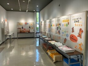 展示の様子