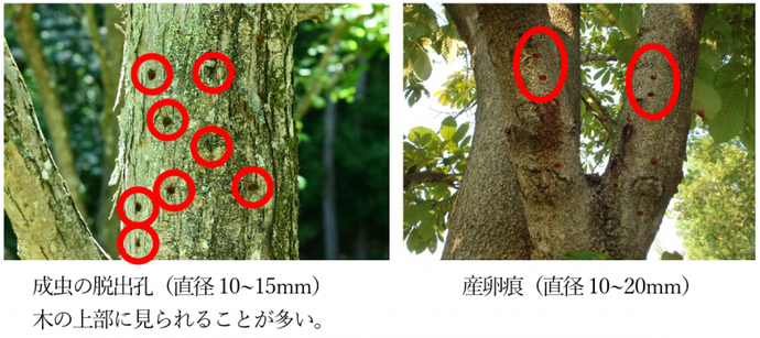 脱出口の写真