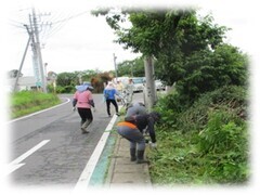 除草作業の様子